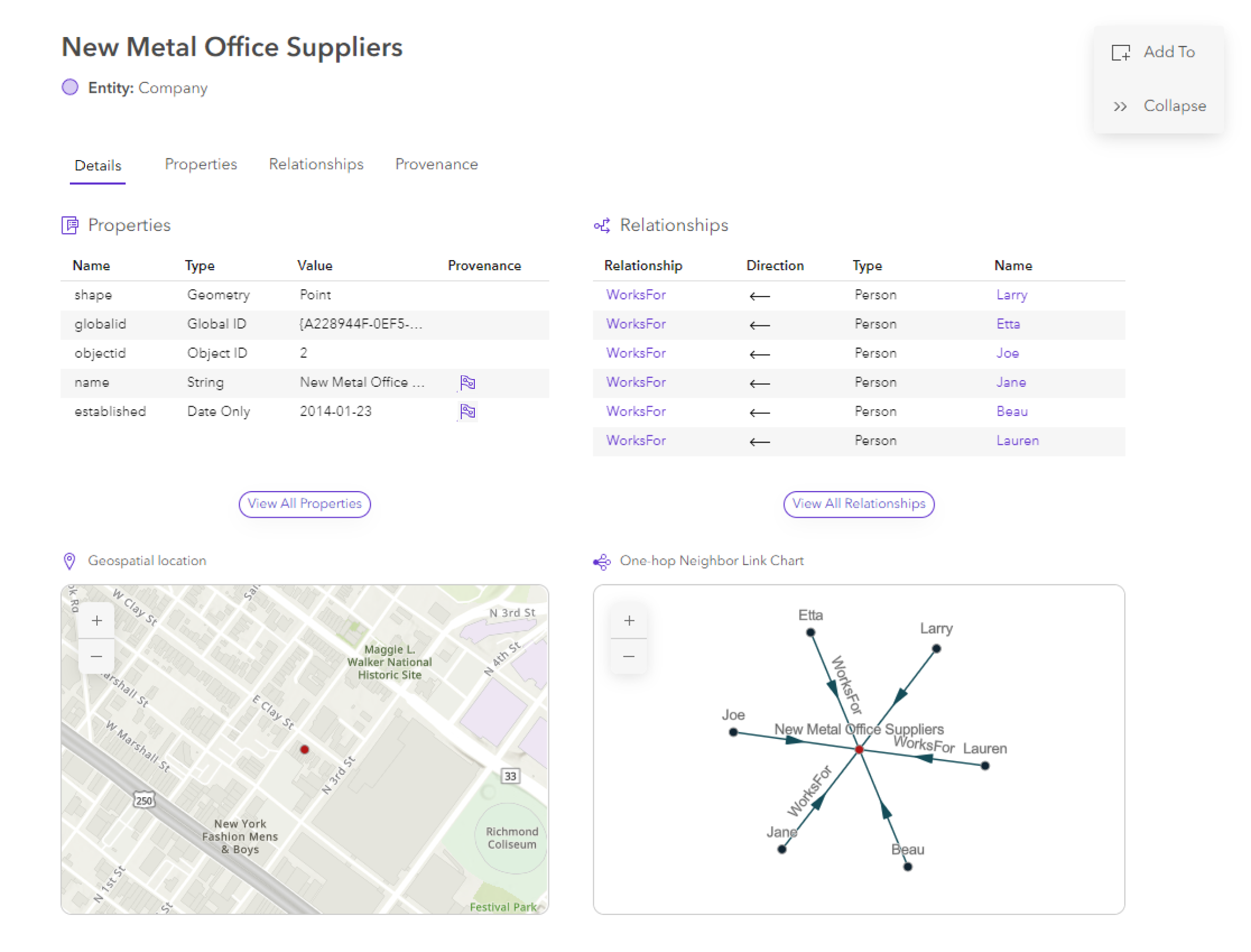 Content for a selected entity on the Details tab in the knowledge graph view