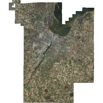 Export Image