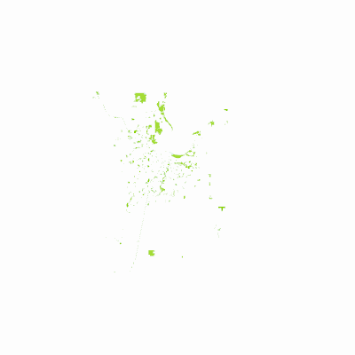 Export Image