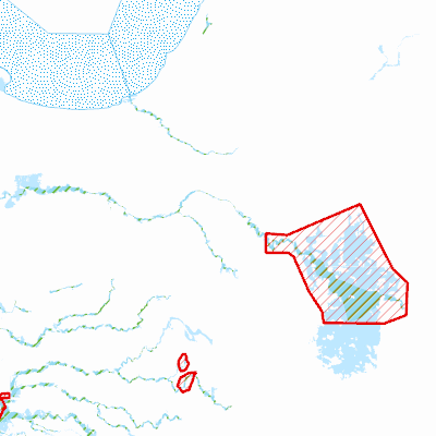 Export Image